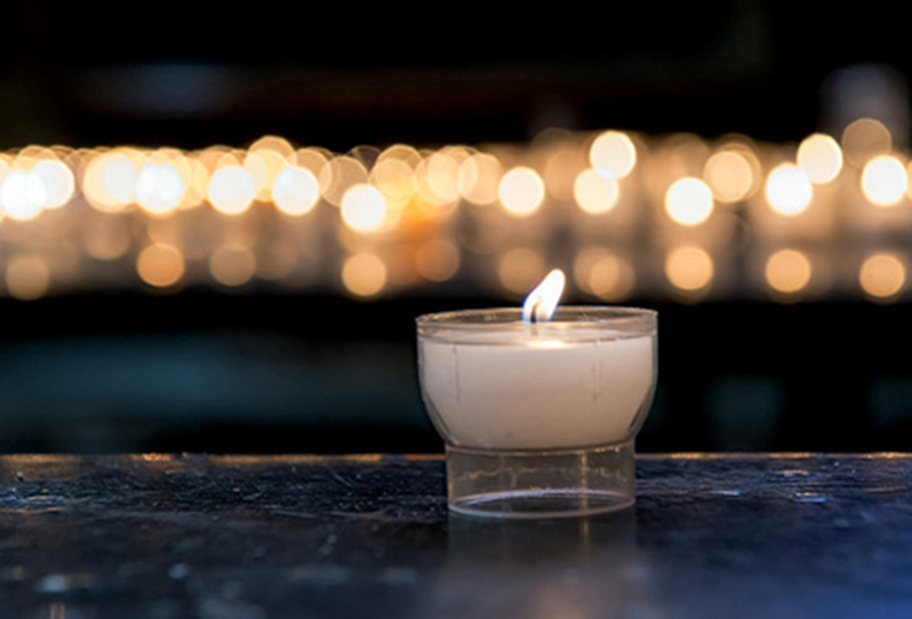 PC50大梅花形塑料蜡烛壳应用图 PC50大梅花形塑料蜡烛壳应用图